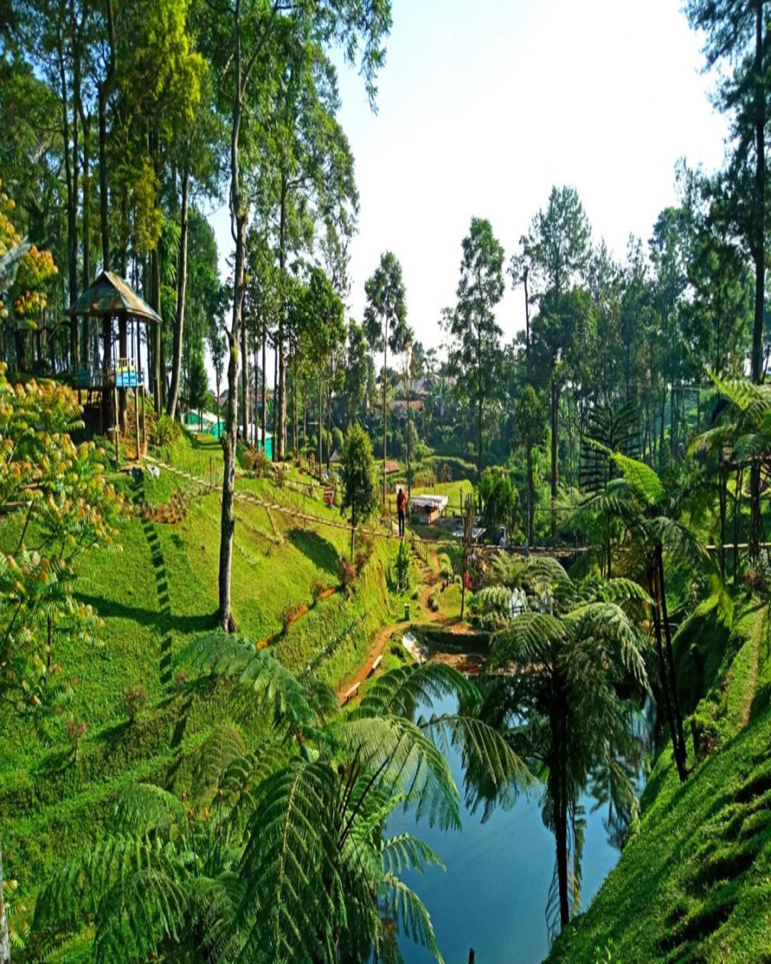 tempat-refreshing-batang-rekomendasi-destinasi-untuk-melepas-penat